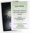Self-Worth Energy Card