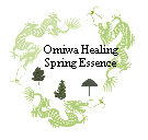 Healing Dragon Essence - 10mls