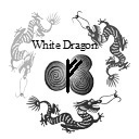 Boxed Set of White Dragon Essences