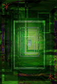 Wood Element Energy Card