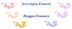 Boxed set of Elemental Dragon Essences